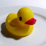 rubber duck