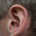 ear